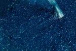 Bold Berry - D509 - Mediterranean Sea - 15 ml - Soak Off Gel Nail Polish - Image 2