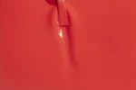 Bold Berry - D562 - Not My Circus - 15 ml - Soak Off Gel Nail Polish - Image 2