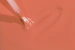 Bold Berry - B565 - Cupcake - 15 ml - Soak Off Gel Nail Polish - Image 2
