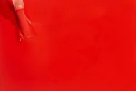 Bold Berry - D637 - Hey Jude - 15 ml - Soak Off Gel Nail Polish - Image 2