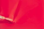 Bold Berry - D640 - Costa Rica - 15 ml - Soak Off Gel Nail Polish - Image 2
