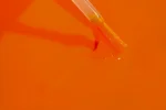 Bold Berry - B690 - Orange Tiger - 15 ml - Soak Off Gel Nail Polish - Image 2