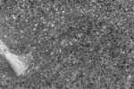 Bold Berry - P711 - Starlight - 15 ml - Soak Off Gel Nail Polish - Image 2